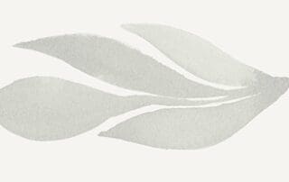 watercolor of a leaf