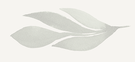 watercolor of a leaf