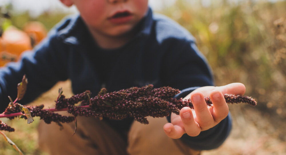 Boy playing with nature