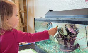 Child scribbling on a fish tank