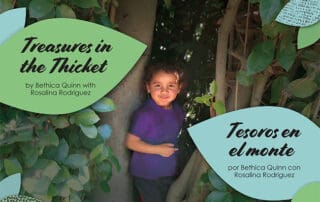 ROW Collection: Treasures in the Thicket, Tesoros en el monte