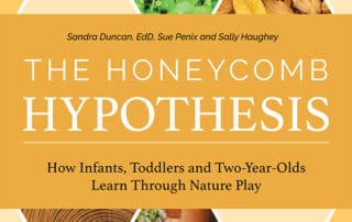 The Honeycomb Hypothesis