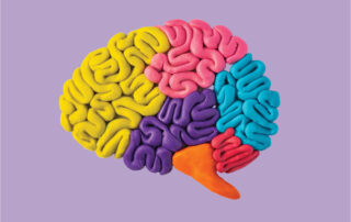 side view of clay brain