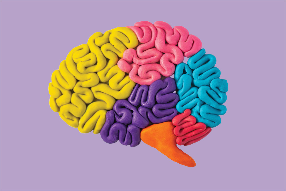 side view of clay brain