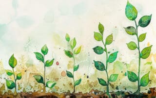 growth timeline of plants