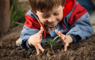 joyful child explores tiny sprout