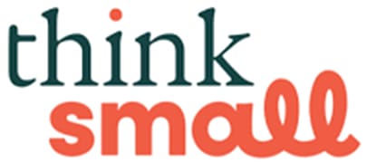 Think Small
