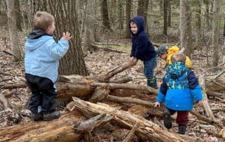 Children exploring sticks and tree cookies outside
